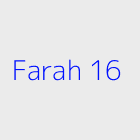 Agence immobiliere farah 16